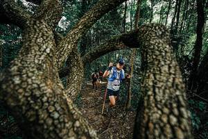 BIB: 
                            <button type="button" onclick="openModal(25392811)" class="btn btn-primary btn-sm float-right btn-popup" data-toggle="modal" data-target=".modal-high-quality">
                        <i class="fas fa-shopping-cart"></i> Add to Cart
                    </button>
                                            <button type="button" onclick="isThisMe(25392811, true)" class="btn btn-success btn-sm float-right btn-popup btn-isme hidden" data-toggle="tooltip" data-placement="bottom" title="นี่คือรูปของคุณใช่ไหม คลิกที่นี่เพื่อเอาเข้าอัลบั้ม">
                        <i class="fas fa-plus"></i> Add to album
                    </button>
                    <button type="button" onclick="isThisMe(25392811, false)" class="btn btn-warning btn-sm float-right btn-popup btn-isnotme hidden">
                        <i class="fas fa-ban"></i> Remove from album
                    </button>